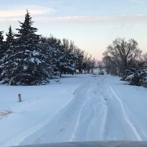 Meet your Posher, Delia